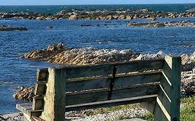 Kaikoura Blue Haven In The Bay